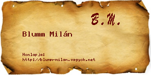 Blumm Milán névjegykártya